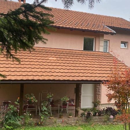 Apartmani Nais 兹拉蒂博尔 外观 照片