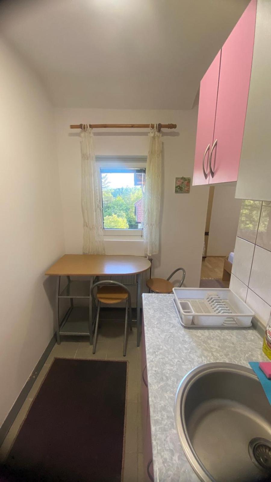 Apartmani Nais 兹拉蒂博尔 外观 照片